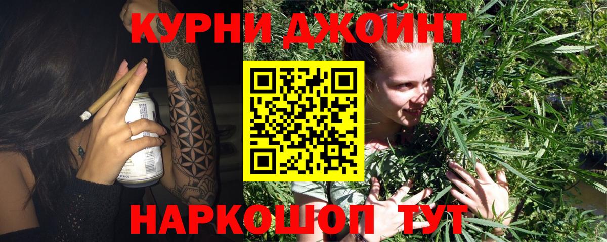 Каннабис планчик  Марихуана тримм  Вход с VPN  Аргун  Каннабис White Widow  Шишки марихуана марихуана 